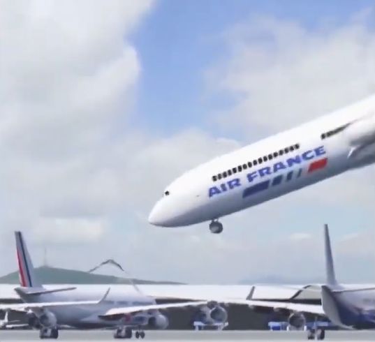 Dancing Plane With Bird